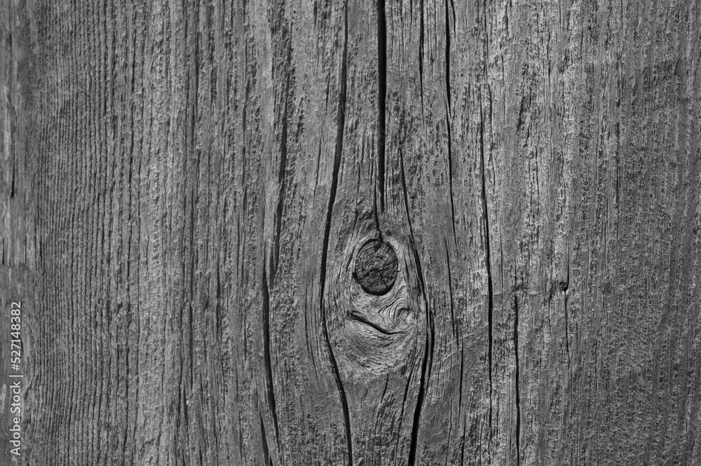 gray background,in the photo old wooden boards of gray color close-up gray background,in the photo old wooden boards of gray color close-up