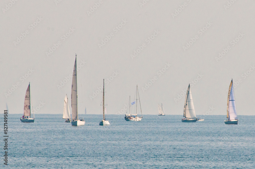 Obraz premium Barche a vela 