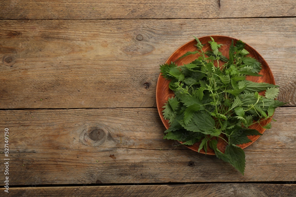 Fresh stinging nettle leaves on wooden table, top view. Space for text Fresh stinging nettle leaves on wooden table, top view. Space for text