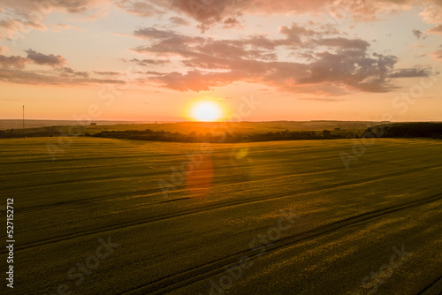 Aerial landscape view of yellow cultivated agricultural field with ripe wheat on vibrant summer evening © bilanol