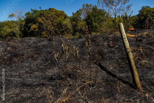 Terrenio urbano com registro de queimada ilegal em área urbana de Guarani, estado de Minas Getais, Brasisl photo