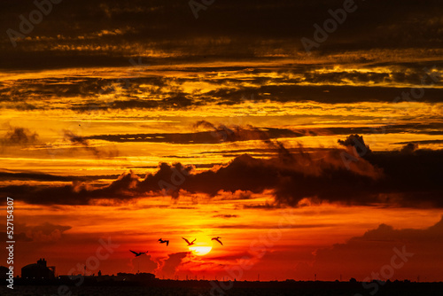 Sunrise like fire in the sky Tampa Bay Florida © Christopherab