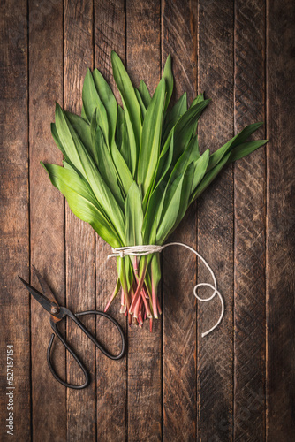 Bunch of ramps  wild garlic  tied with kitchen string and scissors