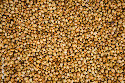 Flat lay background of dried coriander seeds used in Mediterranean and Asian cooking photo