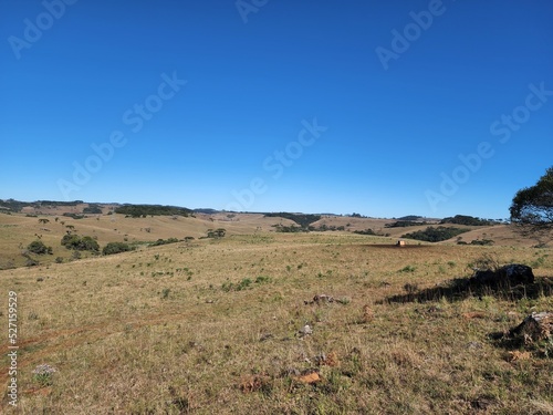 fazenda, campo para pecuária