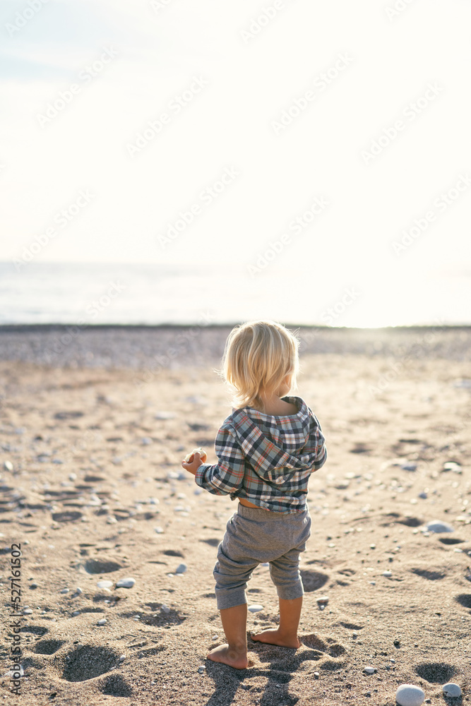 Little girl with an apple stands on the beach. Back view. High quality photo