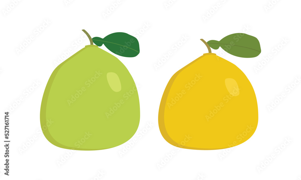 Green and yellow pomelo clipart. Simple pomelo fruit flat style vector design illustration isolated on white. Summer fruits for healthy lifestyle. Organic fruit. Mid Autumn Festival fruits concept Green and yellow pomelo clipart. Simple pomelo fruit flat style vector design illustration isolated on white. Summer fruits for healthy lifestyle. Organic fruit. Mid Autumn Festival fruits concept