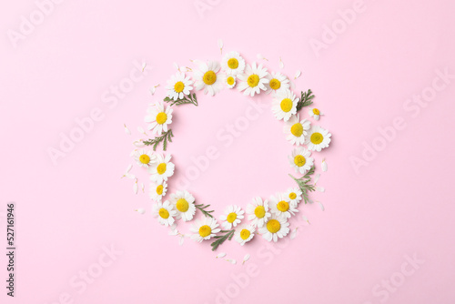 Frame made with fresh chamomiles on pink background. Space for text