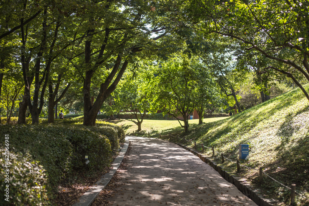 path in the park