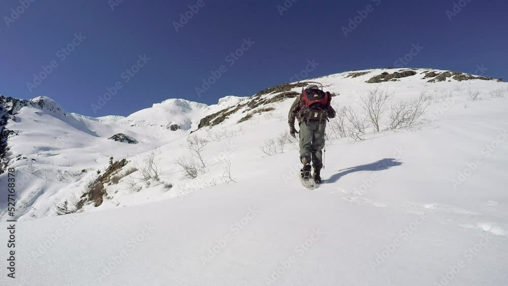 A winter hiker goes snowshoeing up into the snow covered mountains of Kodiak Island Alaska A winter hiker goes snowshoeing up into the snow covered mountains of Kodiak Island Alaska