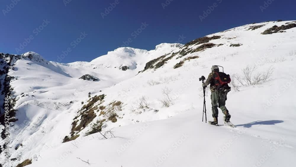 A nature and wildlife photographer snowshoes up the snow covered mountains of Kodiak Island Alaska in preparation for a photoshoot A nature and wildlife photographer snowshoes up the snow covered mountains of Kodiak Island Alaska in preparation for a photoshoot