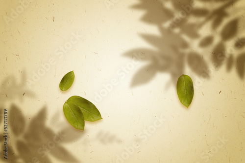 wall textures with nature shadows overlays
