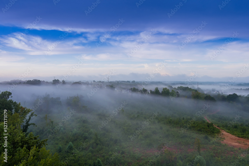 Mornings in South Carolina are often characterized by fog over forest when the summer season is fully effect