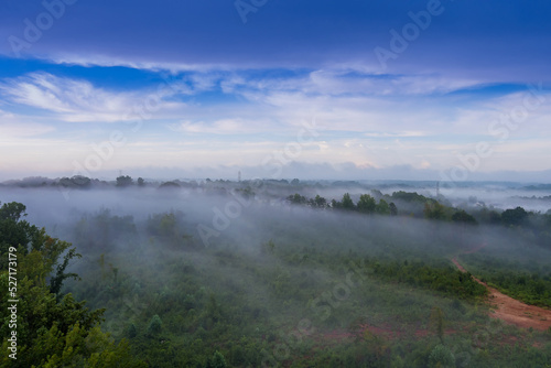 Mornings in South Carolina are often characterized by fog over forest when the summer season is fully effect