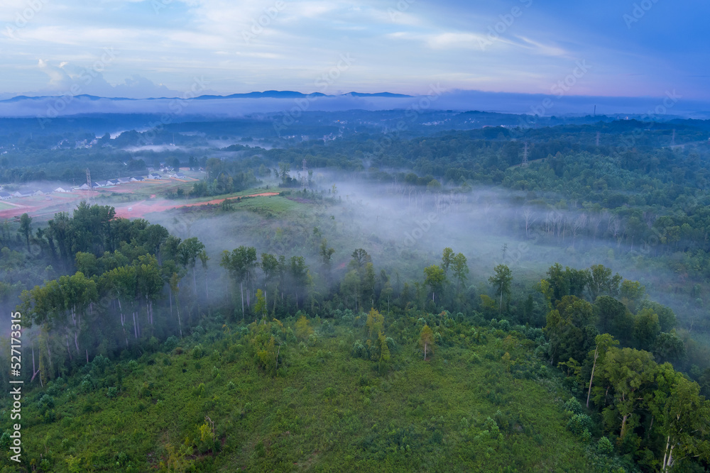 Fototapeta premium When it gets mist mornings in South Carolina during summer season, forest is foggy the mornings