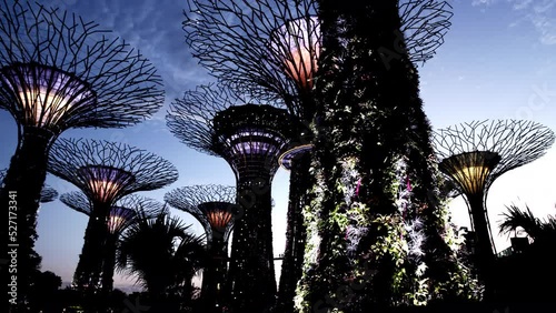 A Light Show at the Super Tree Groves, Gardens by the Bay