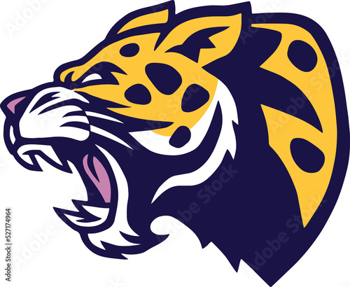 Angry Leopard Big Cat Logo Design Icon Template photo