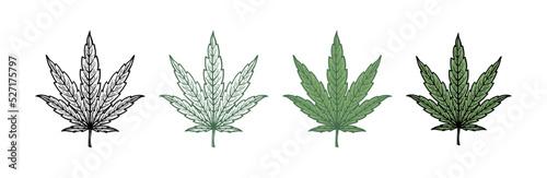 Cannabis, marijuana leaf vector icon. Black and Green Cannabis Leaf