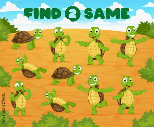 Find two same cartoon turtles. Cheerful tortoise animal characters. Kids riddle vector worksheet, child educational puzzle with comparing exercise, children quiz with turtle baby funny personages