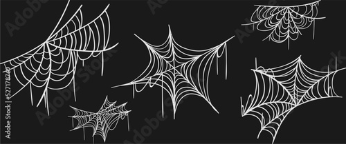 Foto spider web vector collection