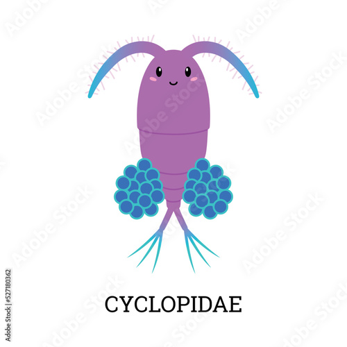 Cute cyclopidae plankton, cartoon flat vector illustration isolated on white background.
