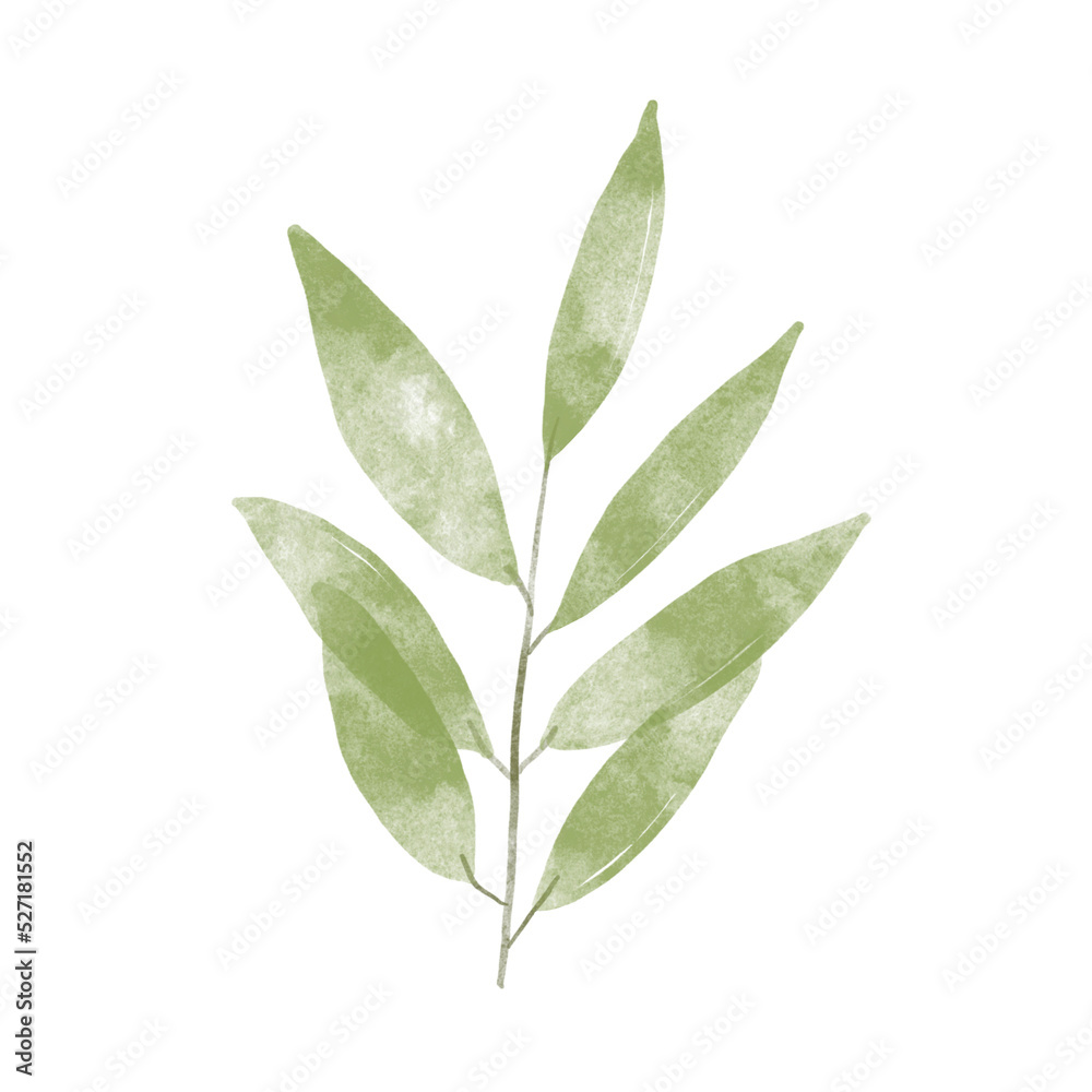 Green leaf watercolor illustration.