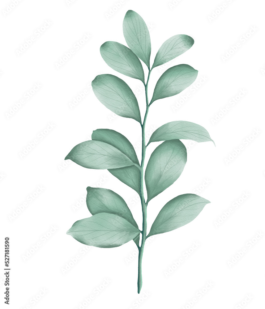 Green leaf watercolor illustration.