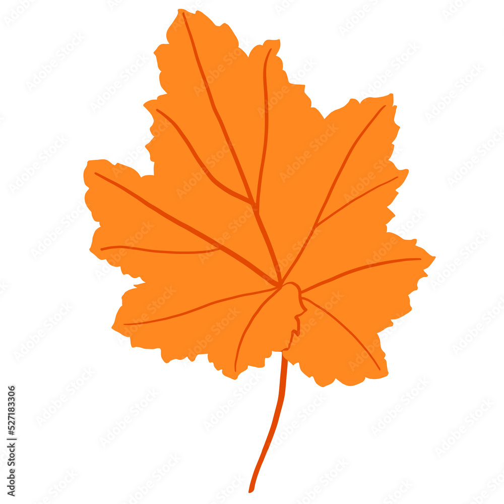 Fototapeta premium Maple leaf watercolor illustration.