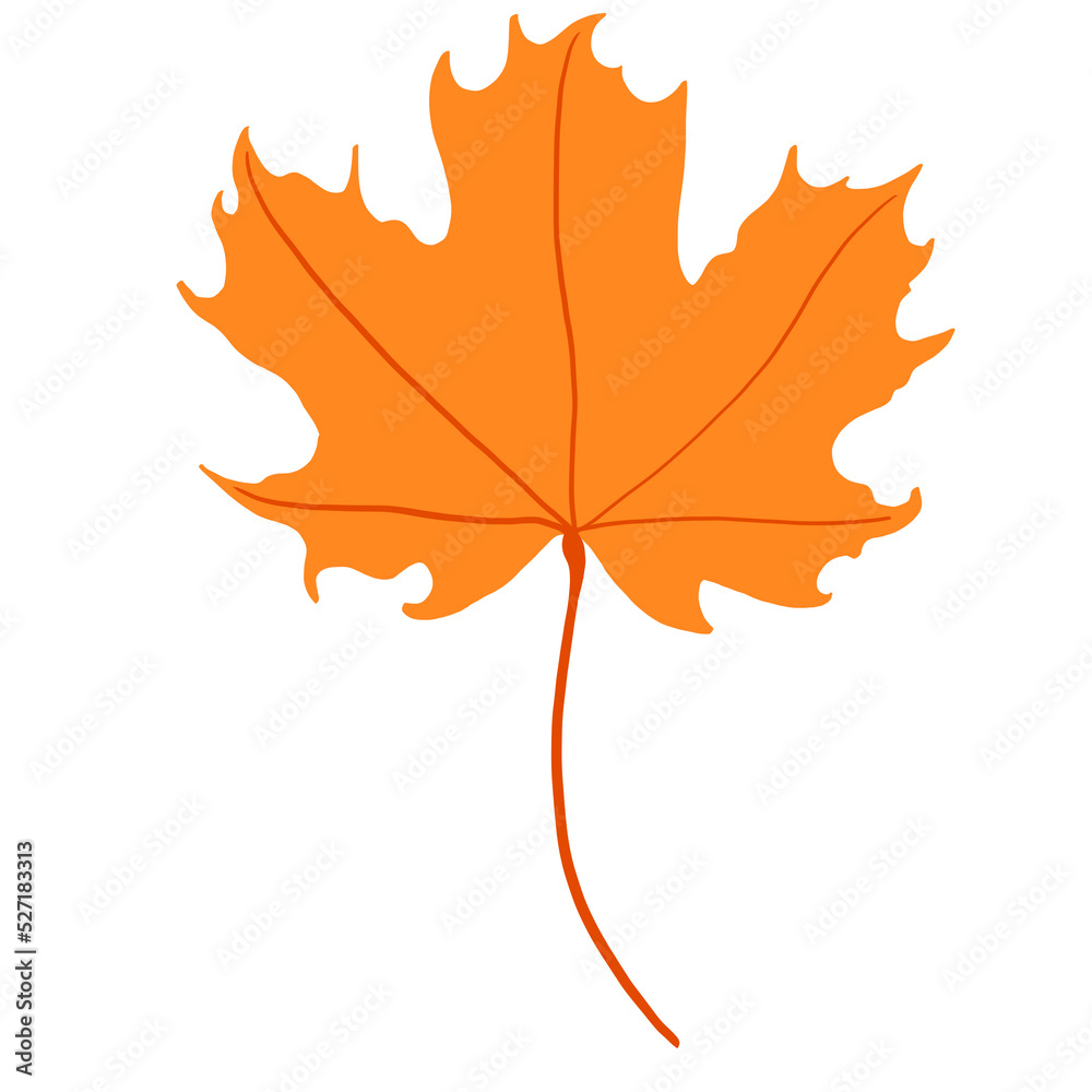 Obraz premium Maple leaf watercolor illustration.