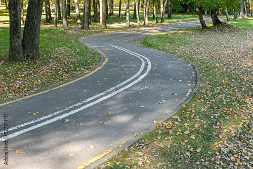 Εκτύπωση καμβά winding bicycle lane covered by fallen yellow leaves