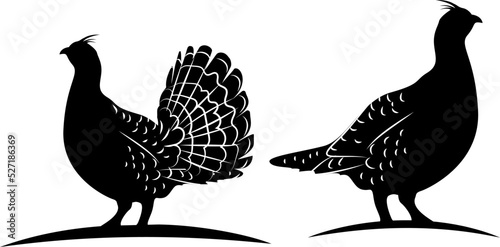 Ruffed Grouse Vector illustration icon.