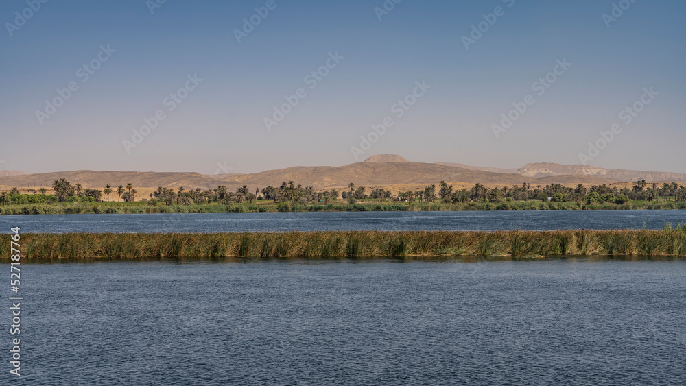 In the riverbed there is an islet overgrown with green grass. Palm trees and sand dunes can be seen on the shore in the distance against a clear sky. Ripples on the blue water. Egypt. Nile