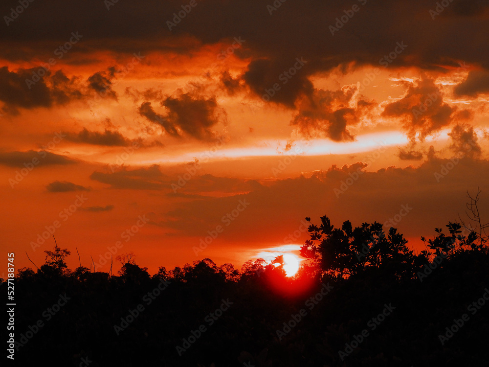 landscape with sunset over the Jungle