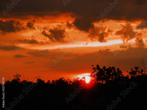 landscape with sunset over the Jungle