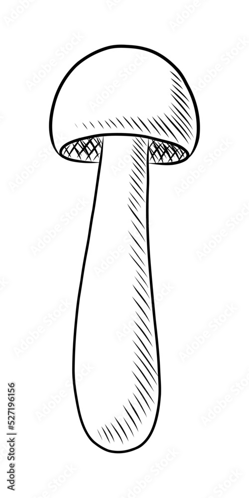BLACK VECTOR ILLUSTRATION OF A MUSHROOM ISOLATED ON A WHITE BACKGROUND BLACK VECTOR ILLUSTRATION OF A MUSHROOM ISOLATED ON A WHITE BACKGROUND