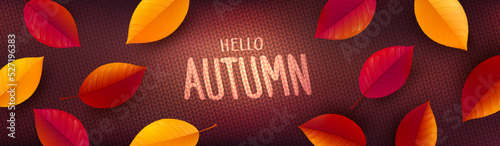 Autumn Poster or banner template with colorful Autumn leaves on knitted sweater background.Greetings and presents for Autumn and fall season concept.