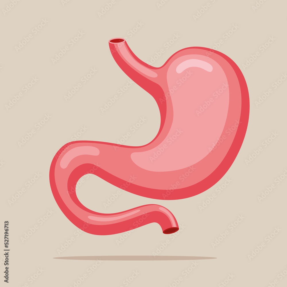 Stomach icon. Human internal organs symbol. Digestive system anatomy. Health care sign. Design element for gastroenterology, medicine, biology.
Stomach icon. Human internal organs symbol. Digestive system anatomy. Health care sign. Design element for gastroenterology, medicine, biology.