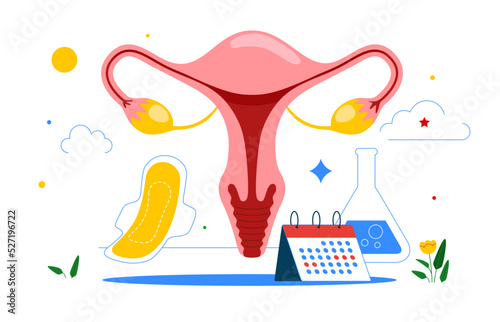 Tracking menstrual cycle and female reproductive system. Menstruation calendar.  Female menstrual cycle. Vector illustration.
