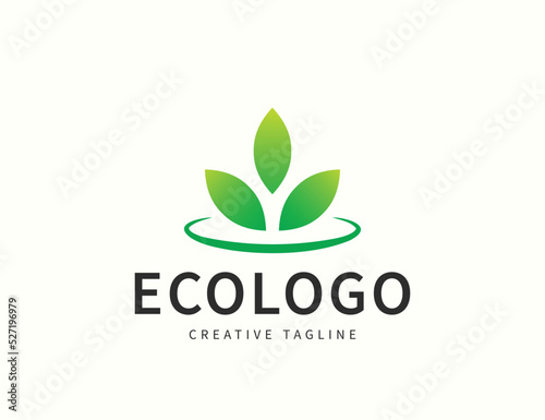 Ecologoy nature green leaf logo design