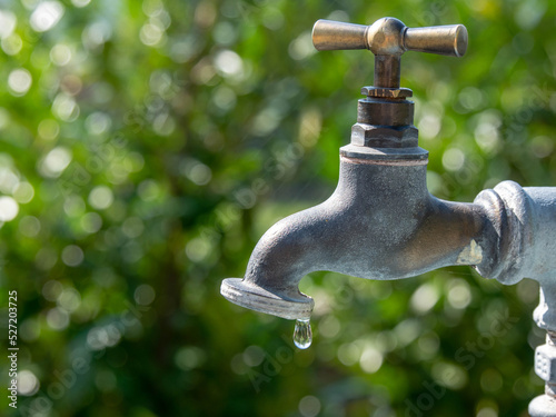 Plakat Garden tap with water drip