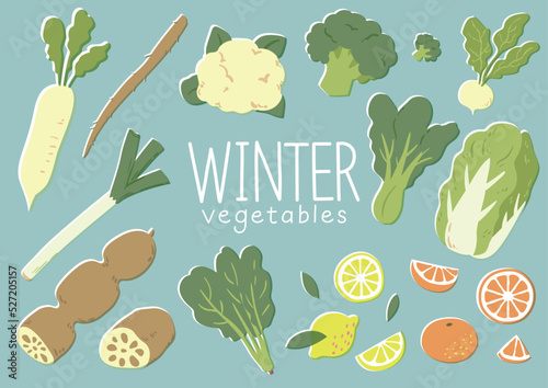 冬野菜イラストセット