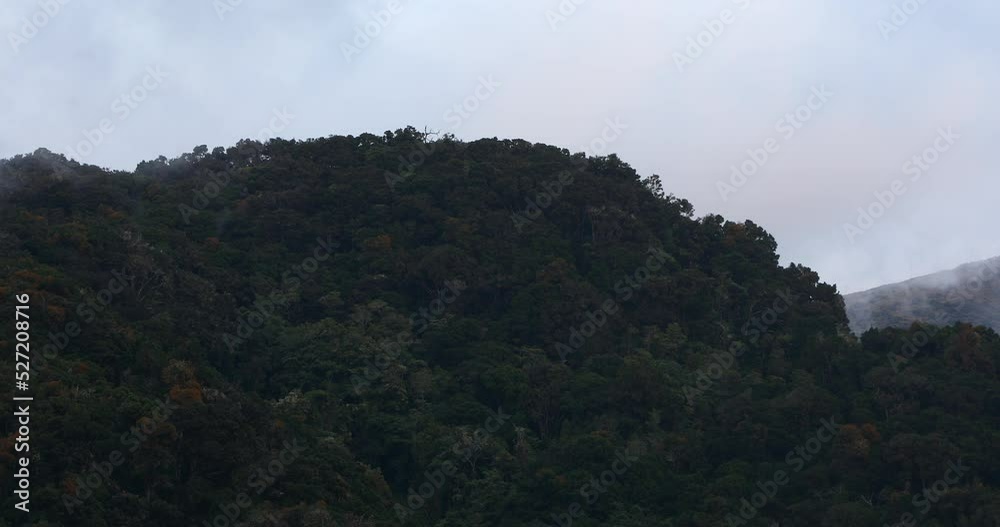 Beautiful view on the hills and rainforest surrounding San Gerardo de Dota in mist, beautiful Costa Rica Wilderness landscape Beautiful view on the hills and rainforest surrounding San Gerardo de Dota in mist, beautiful Costa Rica Wilderness landscape