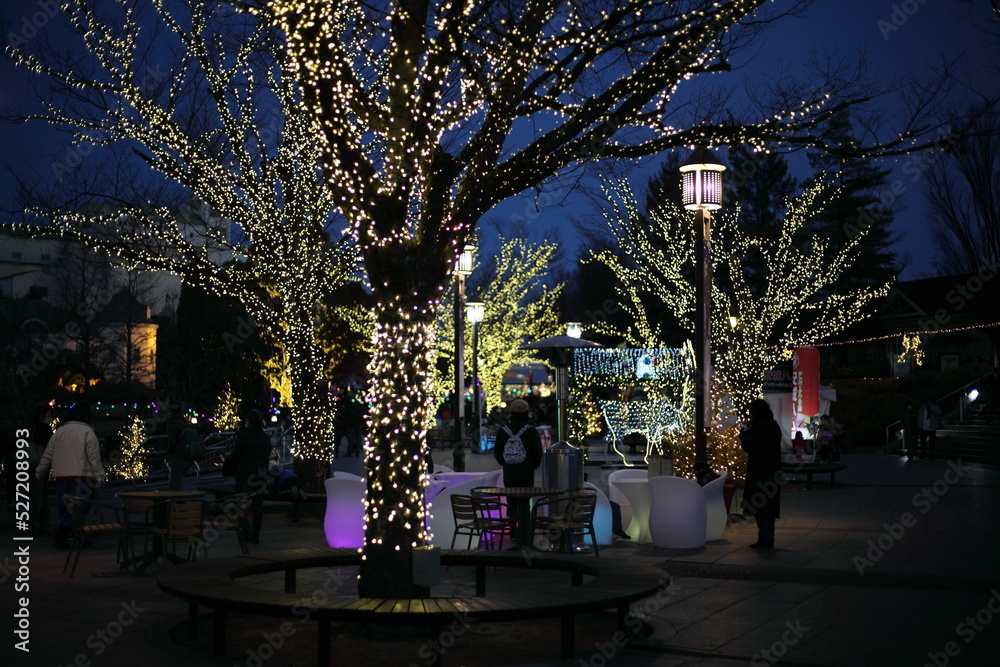 Naklejka premium 植物園のイルミネーション 