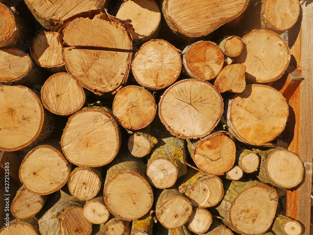 stacked chopped wood logs. Pile of wood logs ready for winter. Wooden stumps, firewood stacked in heap, alternative energy concept, stacked chopped wood logs. Pile of wood logs ready for winter. Wooden stumps, firewood stacked in heap, alternative energy concept,