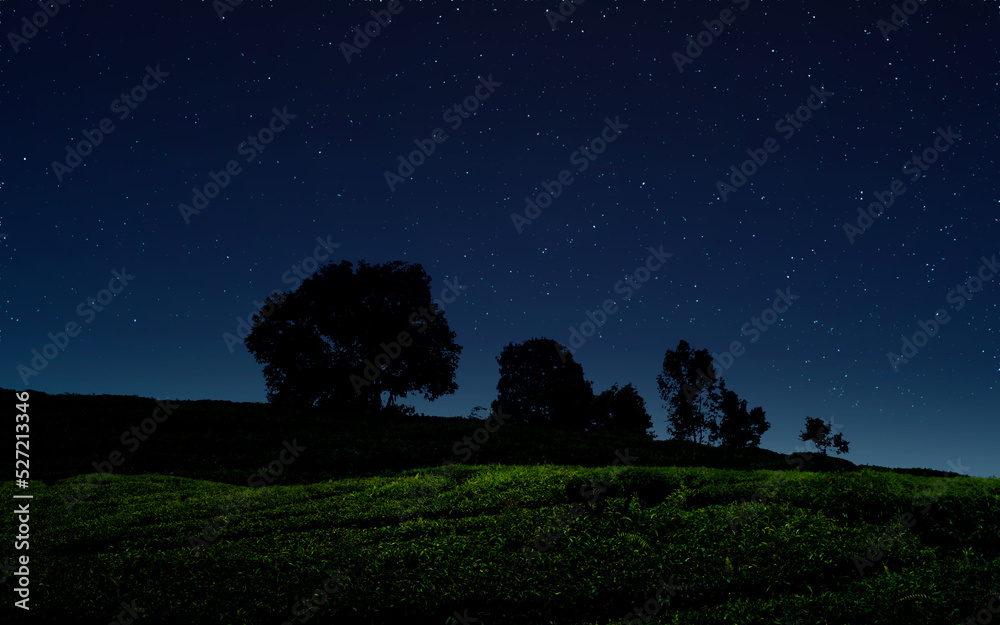 Starry night over green field.