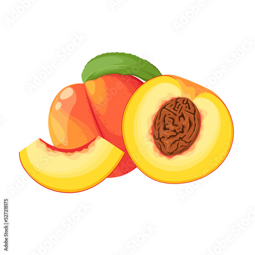 Juicy peaches on a white background. Cartoon design.
