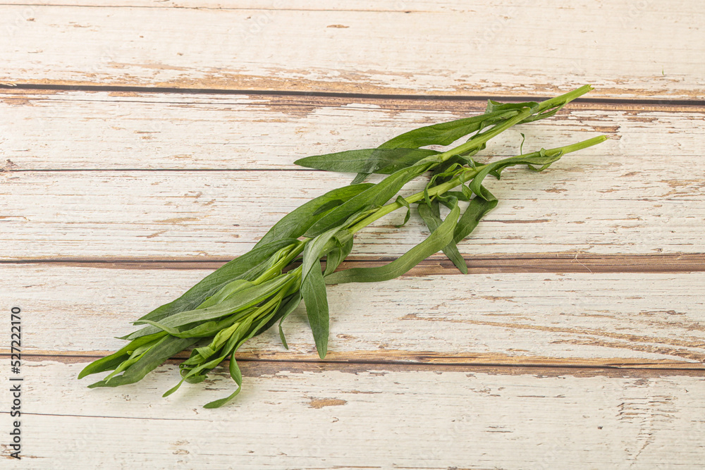 Green tarragon herb spice for cooking Green tarragon herb spice for cooking