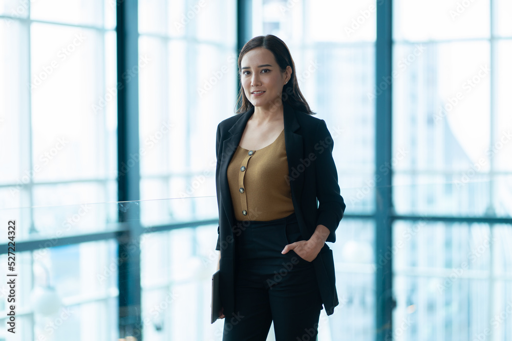 portrait of a businesswoman portrait of a businesswoman