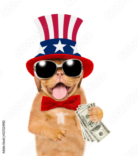 Happy Mastiff puppy wearing like Uncle Sam holds dollars USA. isolated on white background © Ermolaev Alexandr