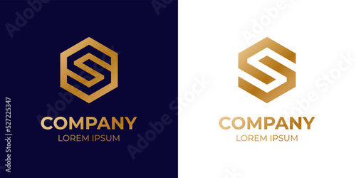 abstract geometric Letter C S logo with hexagon icon design vector elements